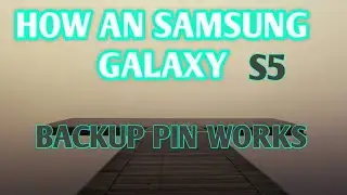 HOW AN SAMSUNG GALAXY S5 BACKUP PIN WORKS