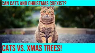 Cats vs Christmas Trees: A Holiday Showdown! part 2