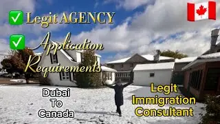 🍁7 | Dubai Legit Agency + Requirements