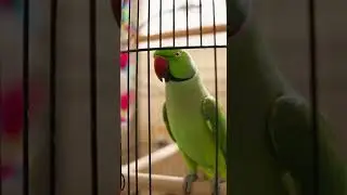 Блестящие брусочки!