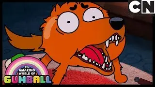 O Incômodo | O Incrível Mundo de Gumball | Cartoon Network