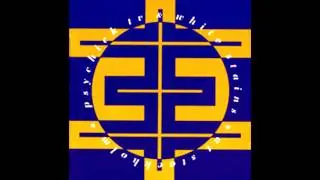 Psychic TV & White Stains ~ Power