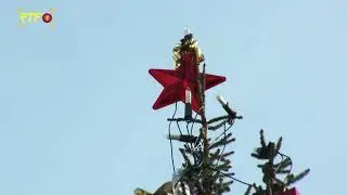 Abgabefrist für ausgediente Christbäume im Landkreis Reutlingen