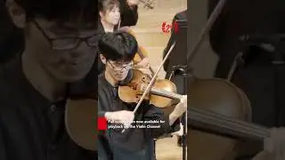 Second Prize at the 6th Annual Schoenfeld International String Competition Violin Division