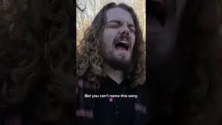 Do you know this grunge classic? 🤔 #grunge #90salternative #acousticcover