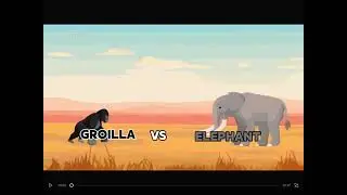 Gorilla vs elephant