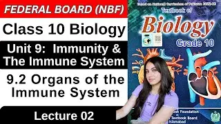 Organs of the Immune System | Chapter 9 Immunity & The Immune System | Class 10 Biology Federal 2025