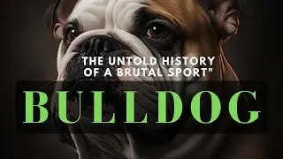 History Of BullDog | From Bull-Baiting To Loveable BullDog #dog  #bulldogs #viral
