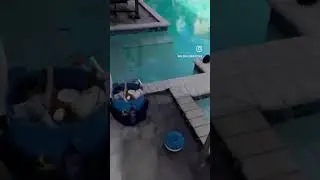 Broken Main Drain Line Found & Pin Pointed | Wilton Manors Pool Leak Detection