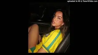 [SOLD] pluggnb x brazilian funk x nvscvr type beat @prodbynippy