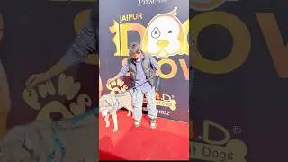 Dog show in jaipur #dog #doglove #animals #loyalty #live #love #lovesong #furry #puppy #baby #funny