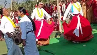 तुल्सीपुर १७ मानपुरको नाचो