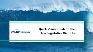 A Quick Visual Guide to Washtenaw's New Legislative Districts
