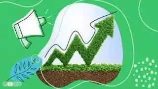 Environmental Education in the High School Business Classroom
