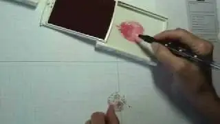 Spotlighting Technique.mov