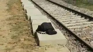 Oel Halt - Sitapur Mailani Gauge Conversion -ओयल हाल्ट - सीतापुर मैलानी आमान परिवर्तन