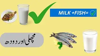 Can You Eat Fish and Milk Together? | Risks and Benefits Explained