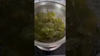 Try this! Cuban Oregano good for Coughing and Common Cold🤧&hellip;Drink it hot❗️😋