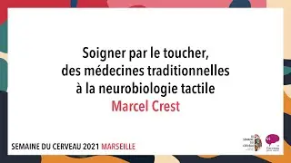 Soigner par le toucher, des m&eacute;decines traditionnelles &agrave; la neurobiologie tactile