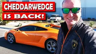 The CHEDDARWEDGE is BACK!!!