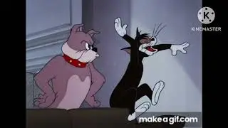 Butch&rsquo;s reaction after watching Balzac catching a fly with his tongue