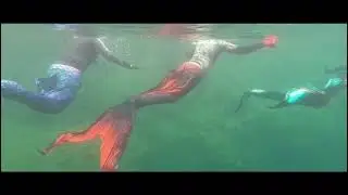 mermaid swim and open water mermaid qualification at Miracle Waters