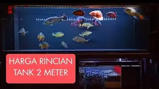 TOTAL BIAYA UNTUK MEMBUAT AQUARIUM 200X60X70 KACA FULL 12 MILI #fyp