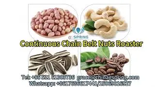 professional manufacturer peanut roaster machine for sale# peanut roaster machine#manufacturer