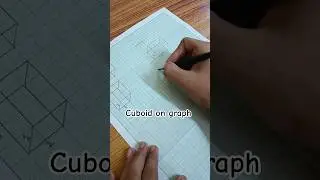 Cuboid on squared paper // #shorts