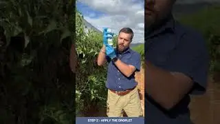 How to apply Last Call&trade; T.A. | Responsible Pest Management&trade; for Tuta absoluta