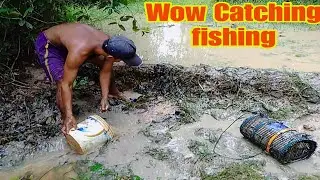 techniques Catching natural hand fishing Unbelievable a lot fish village snakehead fish videos#2023