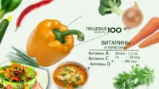 Заставка программы 