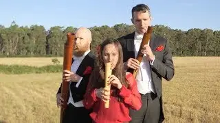 N&atilde;o tragais: A 'Wuthering Heights' Curtal Tribute