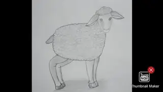 How to draw a sheep in simple steps || @ ANIK ART LAB