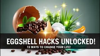 15 Eggshell Hacks That Will Blow Your Mind!