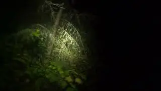 Thoughts during Sasquatch expedition (Little Pend Oreille Wildlife Refuge)