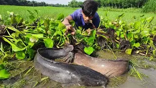 Hand Fishing2025.  Traditional Village Boycatching fish.  Hand Fishing Video