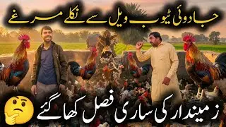 Magic Tube Well Releases Roosters! Crops Destroyed & Owner Gets Punished &mdash; Funny Village Video
