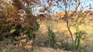 51 DÖNÜM ARAZİ TEK TAPU MÜSTAKİL BALIKESİR GÖNEN SEBEPLİDE