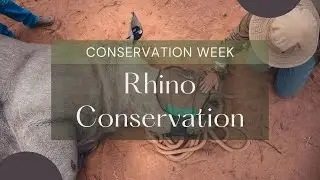 𝐑𝐡𝐢𝐧𝐨 𝐂𝐨𝐧𝐬𝐞𝐫𝐯𝐚𝐭𝐢𝐨𝐧 𝐒𝐚𝐟𝐚𝐫𝐢 & 𝐂𝐨𝐧𝐬𝐞𝐫𝐯𝐚𝐭𝐢𝐨𝐧 𝐖𝐞𝐞𝐤