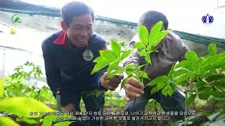 PHÓNG SỰ TIẾNG HÀN: NÔNG NGHIỆP XANH VÀ KHÁT VỌNG 