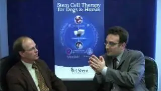 Vet-Stem Medistem Cellmedicine Rheumatoid Arthritis Stem Cell Video