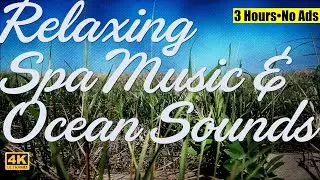 Relaxing Spa Music with Water Sounds, 3 Hour Playlist of Calming Instrumental Ambience, No Ads, 4K.
