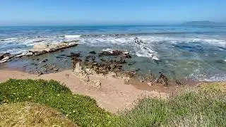 Shell Beach