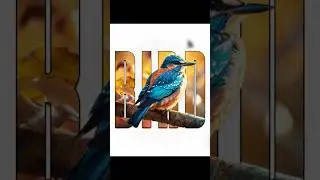 Bird Text Masking Effect in Photoshop #shorts #photoshop #ytshorts #photoshoptutorial