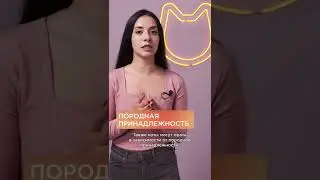 Почему кошка орет? #shorts #интересныефакты
