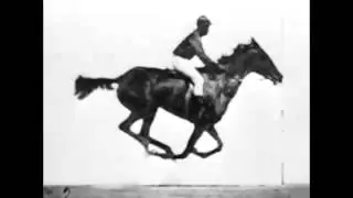 Sallie Gardner at a Gallop (1878)