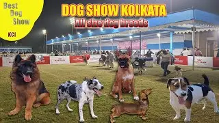Kolkata Dog show| Dog About | Dog Size & Category
