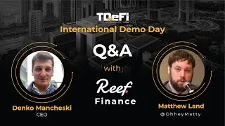 Reef Finance | Pain Points of Governance | QnA Session | TDeFi International Demo Day