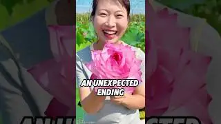 Неожиданная развязка